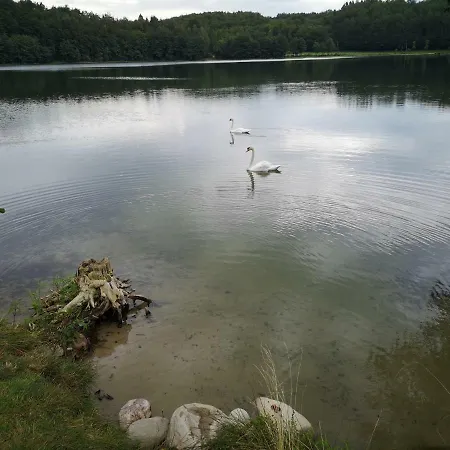 Domek letniskowy Dom *