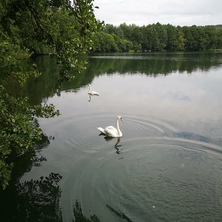 Dom Domek letniskowy Stare Czaple
